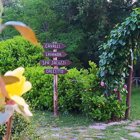Agriturismo Podere Poggiarone 拉波拉诺泰尔梅 外观 照片