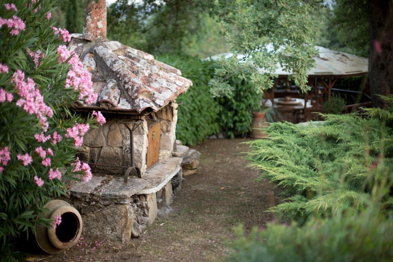Agriturismo Podere Poggiarone 拉波拉诺泰尔梅 外观 照片