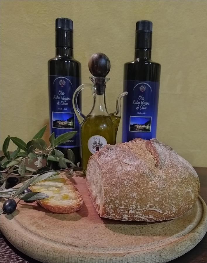 Agriturismo Podere Poggiarone 拉波拉诺泰尔梅 外观 照片