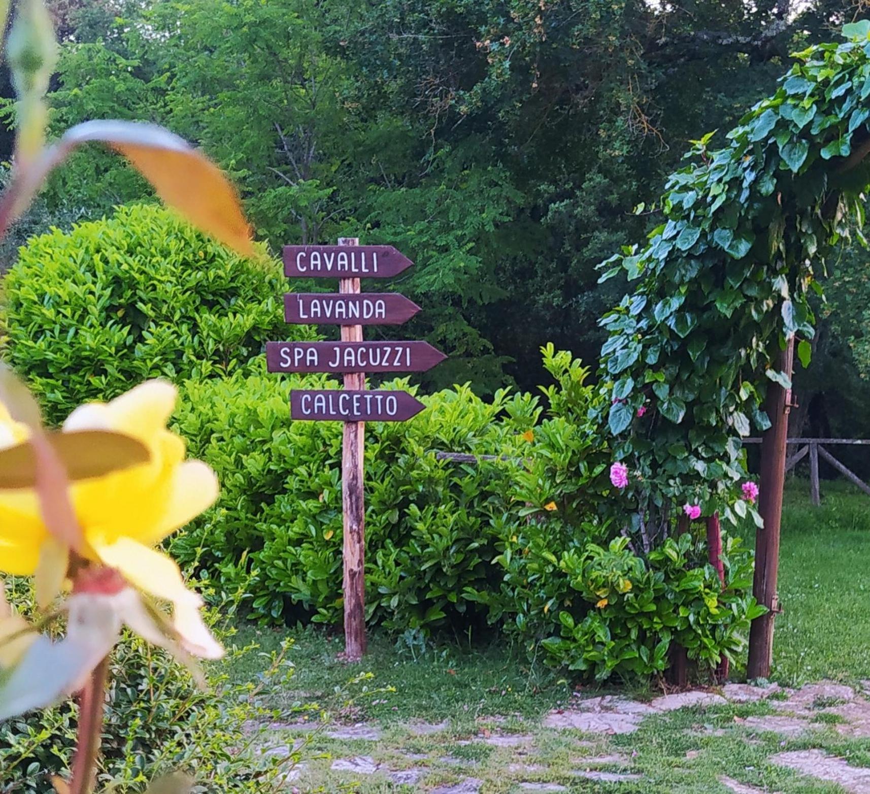 Agriturismo Podere Poggiarone 拉波拉诺泰尔梅 外观 照片