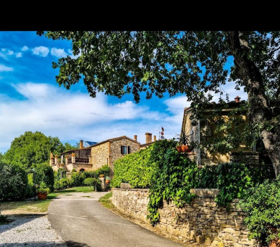 Agriturismo Podere Poggiarone 拉波拉诺泰尔梅 外观 照片